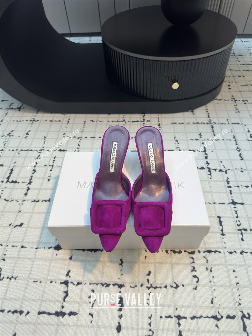 Manolo Blahnik MAYSALE 70 Mules with Buckle in Purple Suede 2025 (MGN-25112531)