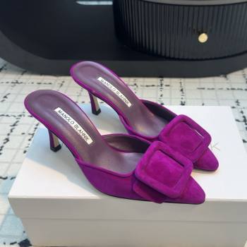 Manolo Blahnik MAYSALE 70 Mules with Buckle in Purple Suede 2025 (MGN-25112531)