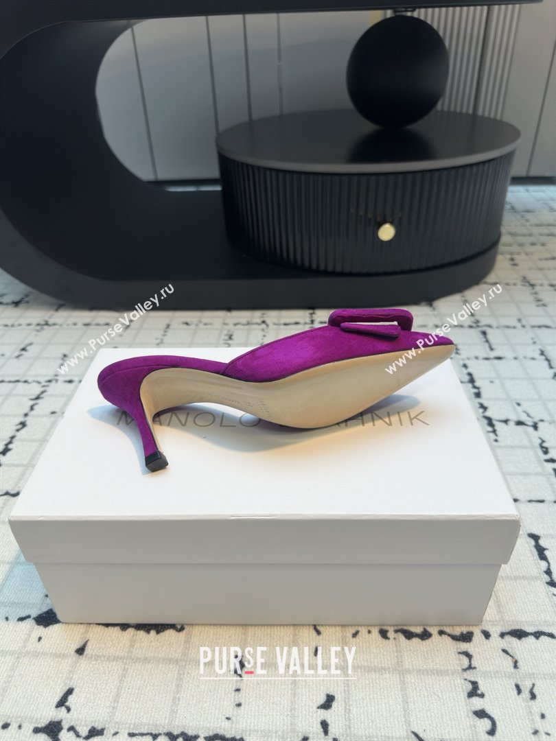 Manolo Blahnik MAYSALE 70 Mules with Buckle in Purple Suede 2025 (MGN-25112531)