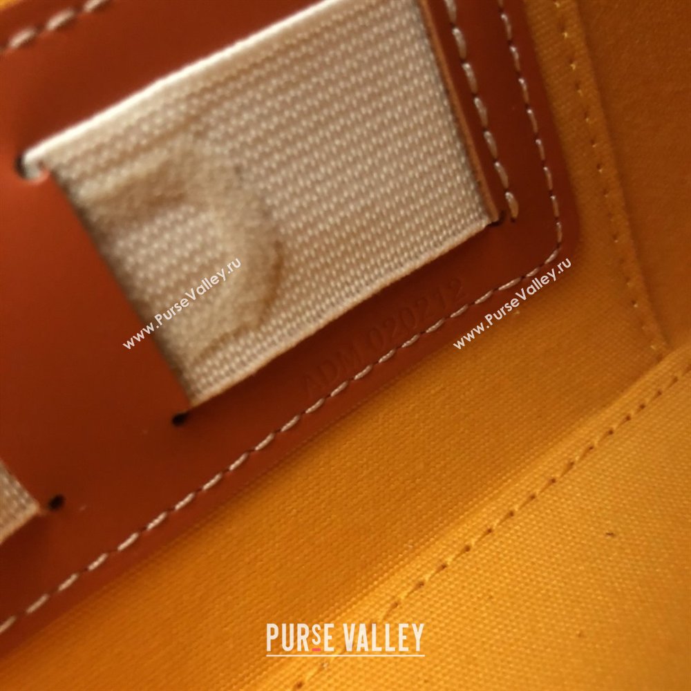 Goyard Muse Vanity Case Orange 2025 (ZH-25120115)