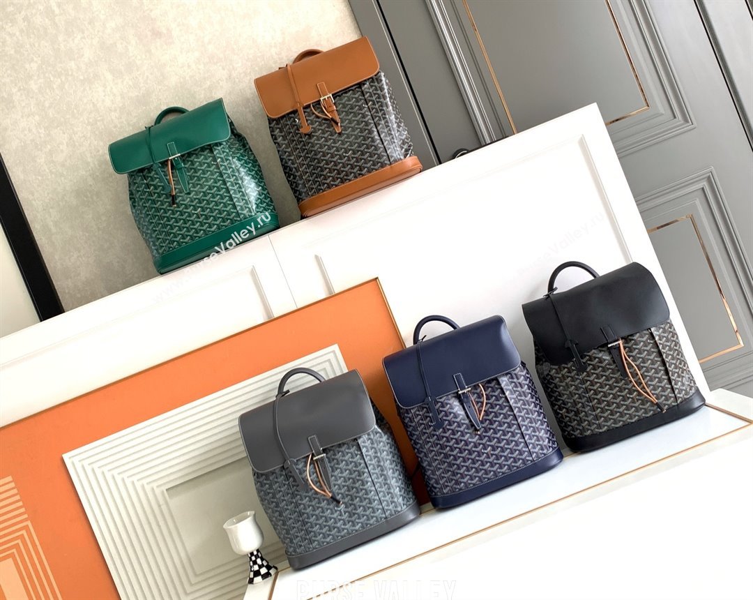 Goyard Alpin MM Backpack 8029 Black 2025 (ZH-25121210)