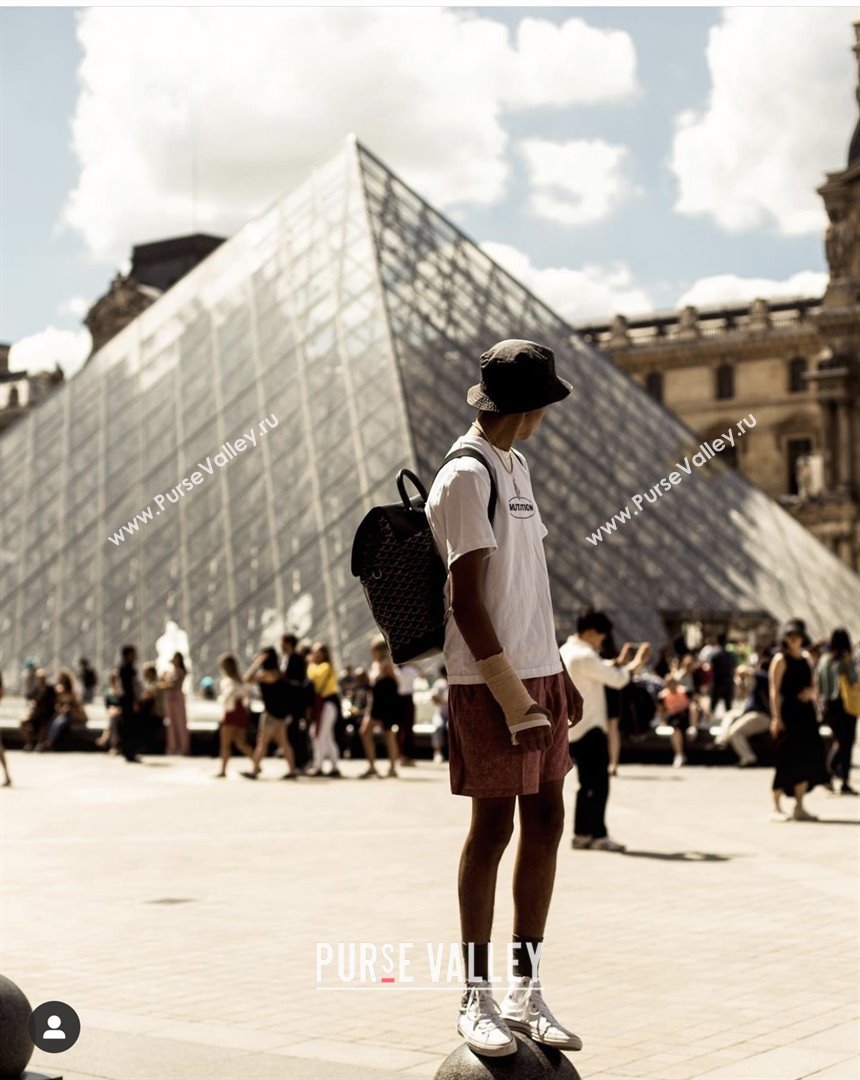 Goyard Alpin MM Backpack 8029 Black 2025 (ZH-25121210)