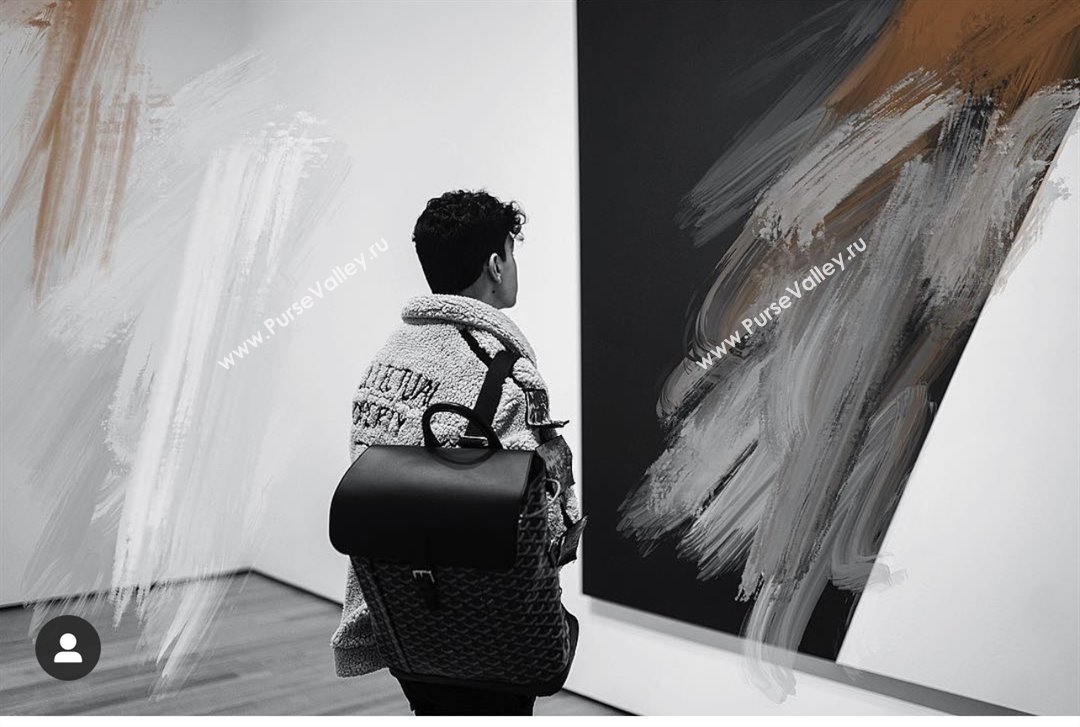 Goyard Alpin MM Backpack 8029 Black 2025 (ZH-25121210)