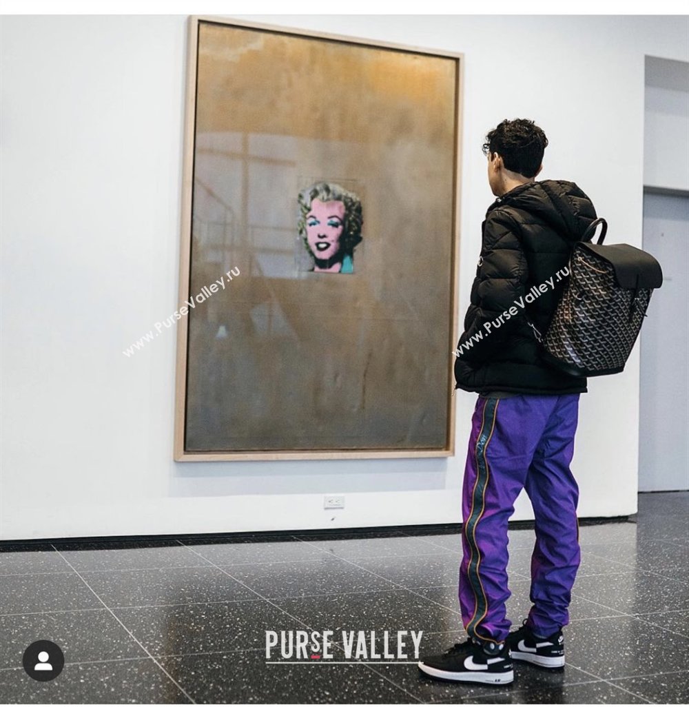 Goyard Alpin MM Backpack 8029 Black 2025 (ZH-25121210)