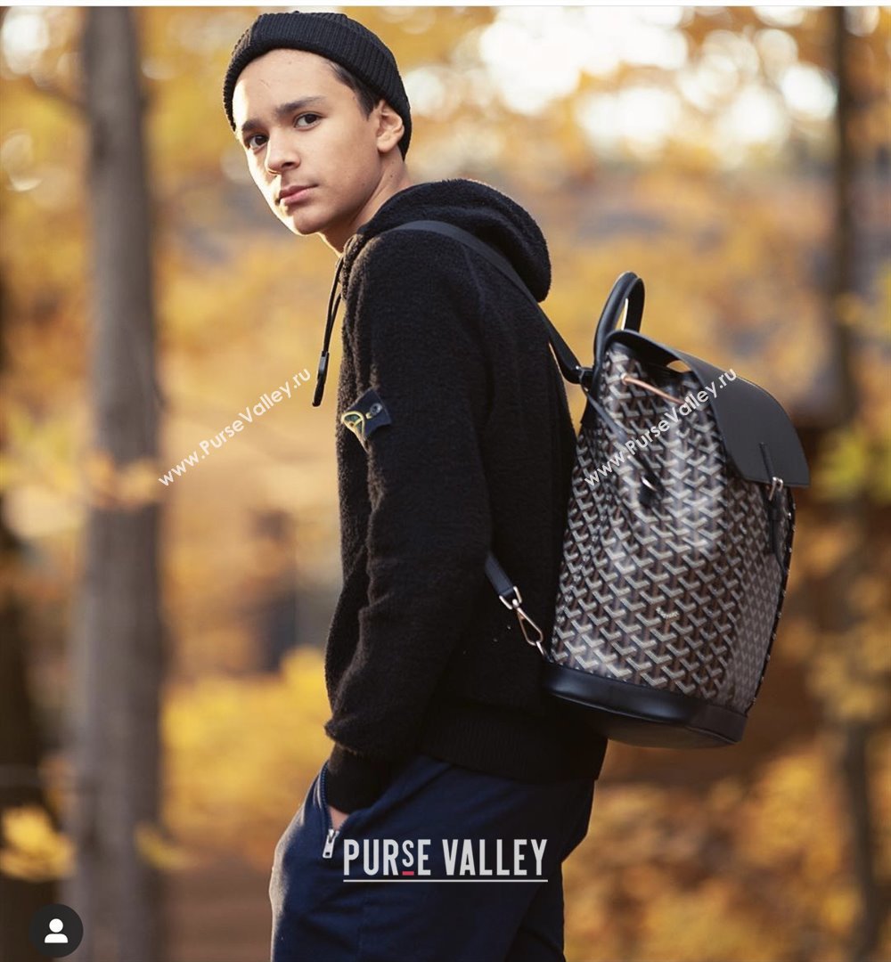 Goyard Alpin MM Backpack 8029 Black 2025 (ZH-25121210)