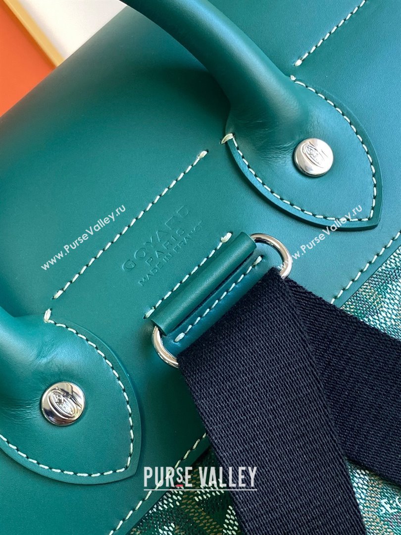 Goyard Alpin MM Backpack 8029 Green 2025 (ZH-25121208)