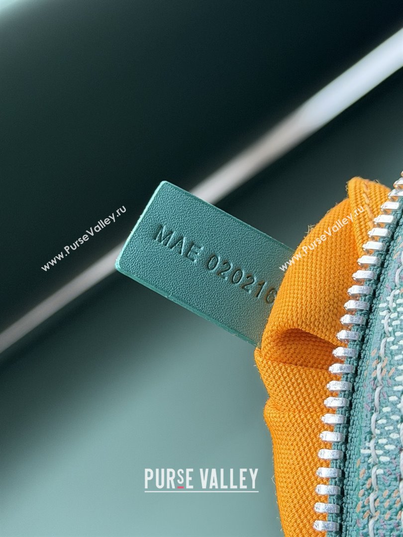 Goyard Bowling 25 Toiletry Bag 020216 Green 2025 (ZH-25121214)