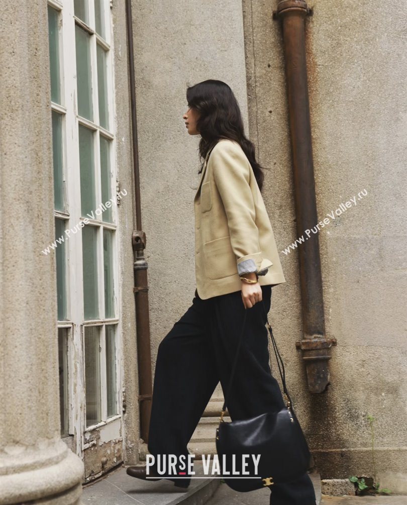 Celine Besace Soft Triomphe in Supple Shiny Lambskin 123632 Black 2025 (BL-25120902)