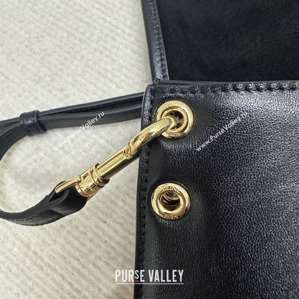 Celine Besace Soft Triomphe in Supple Shiny Lambskin 123632 Black 2025 (BL-25120902)