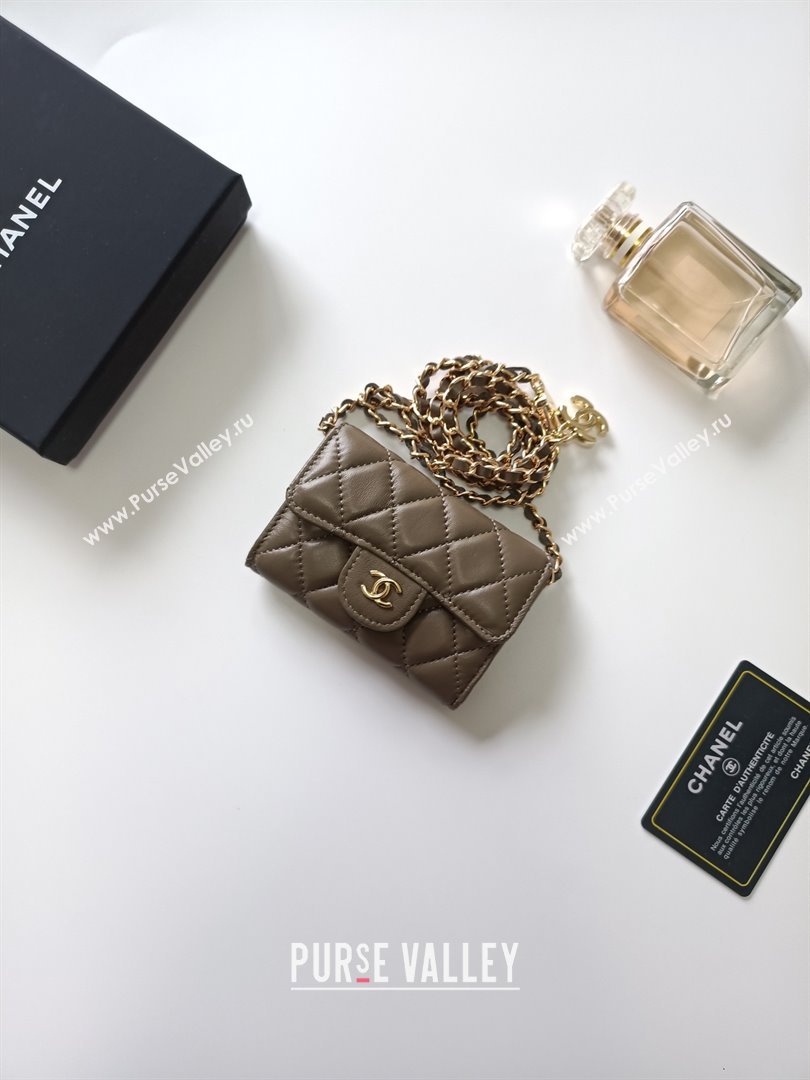 Chanel Chain Belt with Pouch in Smooth Leather 2015025 Grey/Gold 2025 (99-25122341)