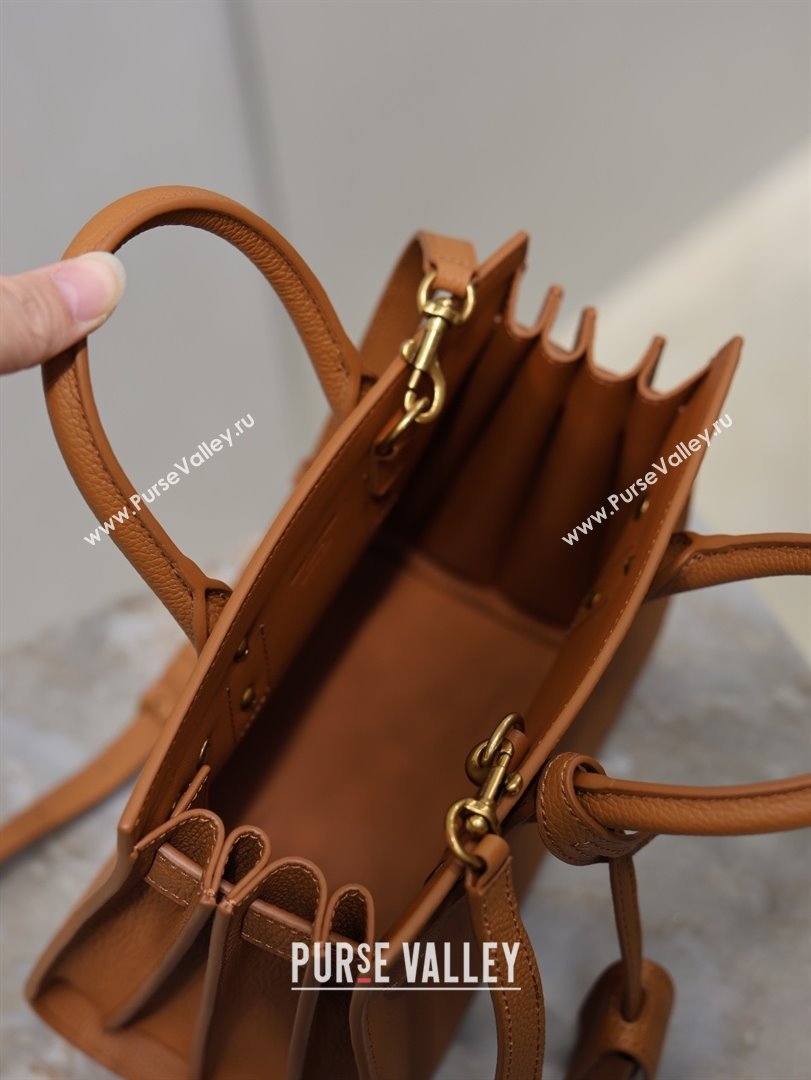 Saint Laurent Sac De Jour Nano Tote bag in Grained Calfskin 717440 Brown 2026 (YY-26010720)