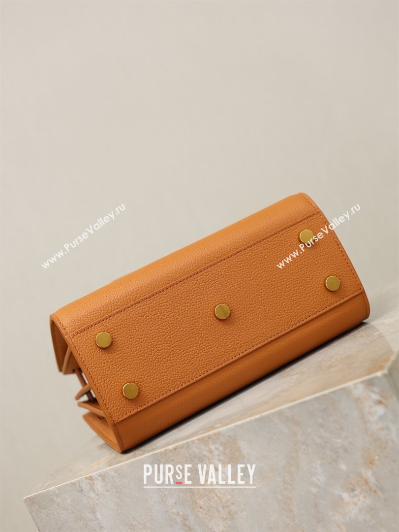 Saint Laurent Sac De Jour Nano Tote bag in Grained Calfskin 717440 Brown 2026 (YY-26010720)