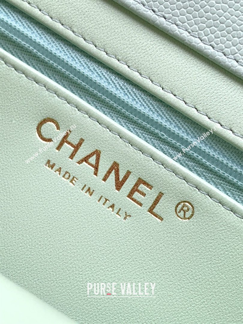Chanel Small Flap Bag in Light Green Grained Shiny Calfskin AS6130 Spring-Summer 2026 Pre-collection (JY-26021202)