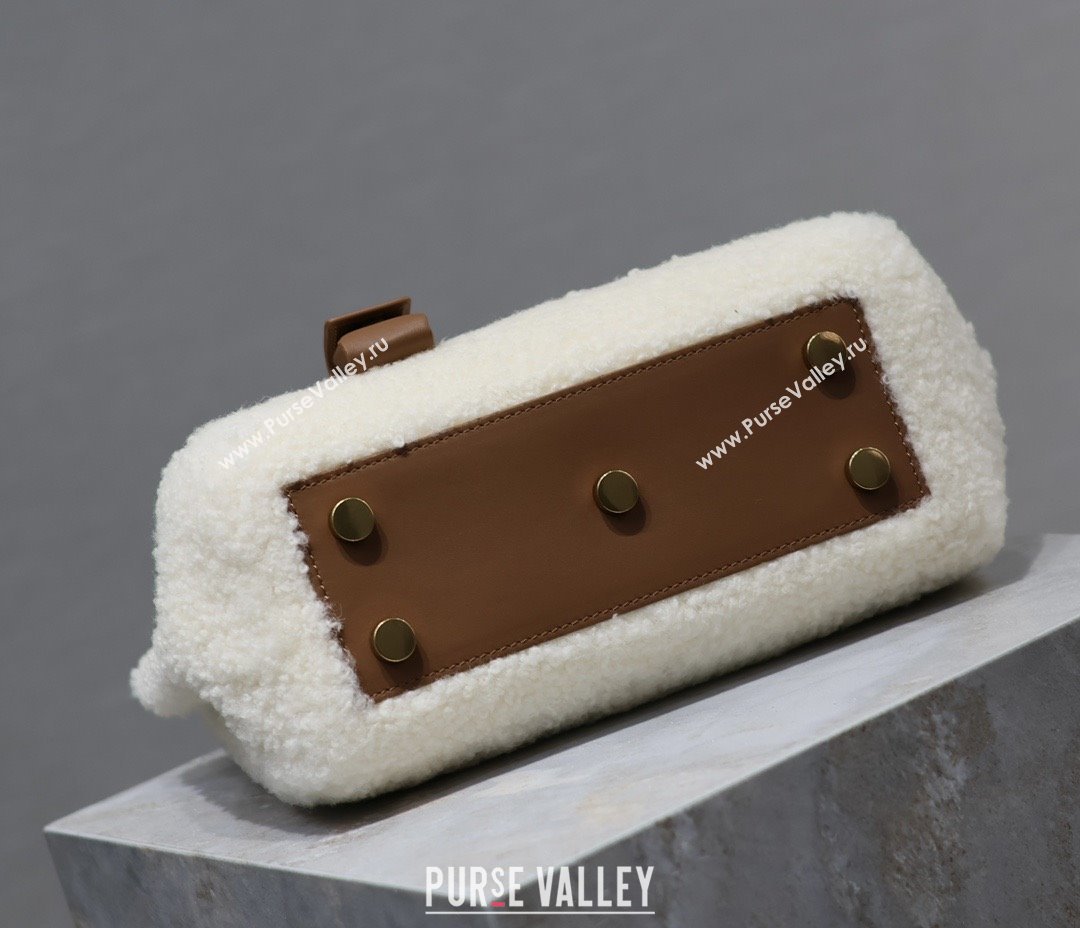 Saint Laurent Sac De Jour Nano Tote bag in Shearling Calfskin 717439 Brown 2026 (YY-26011312)