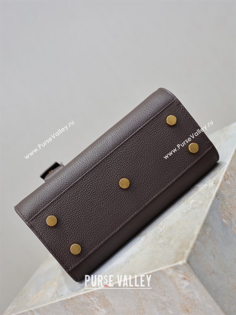 Saint Laurent Sac De Jour Nano Tote bag in Grained Calfskin 717440 Coffee 2026 (YY-26011305)