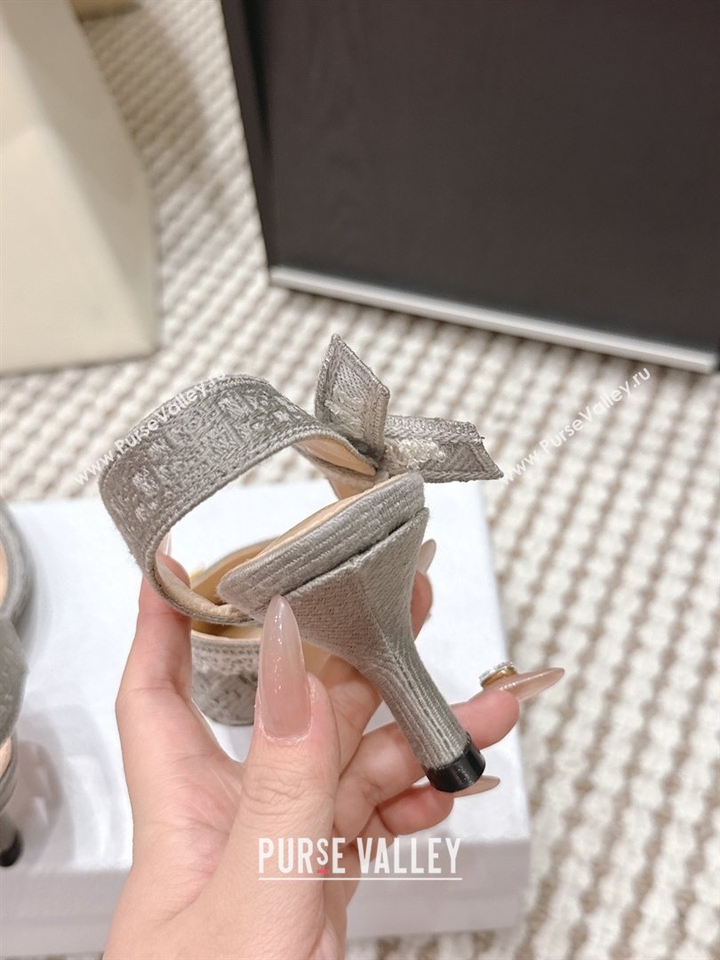 Dior JAdior Pump 6.5cm Heel in Grey Dior Oblique Embroidered Cotton and White Lace 2026 (LM-26012235)
