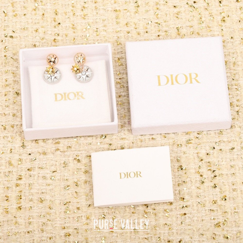 Dior Rose des Vents Earring D012825 2026 (YF-26012825)