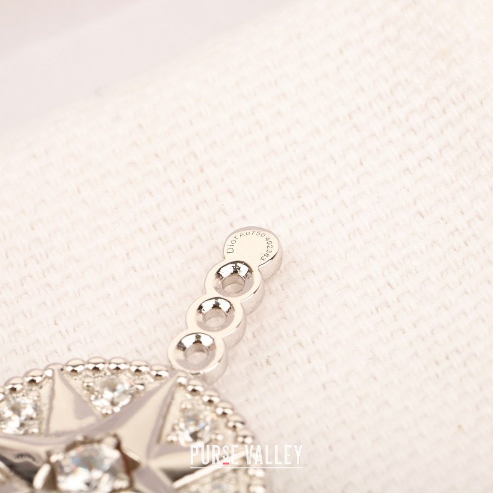 Dior Rose des Vents Earring D012825 2026 (YF-26012825)