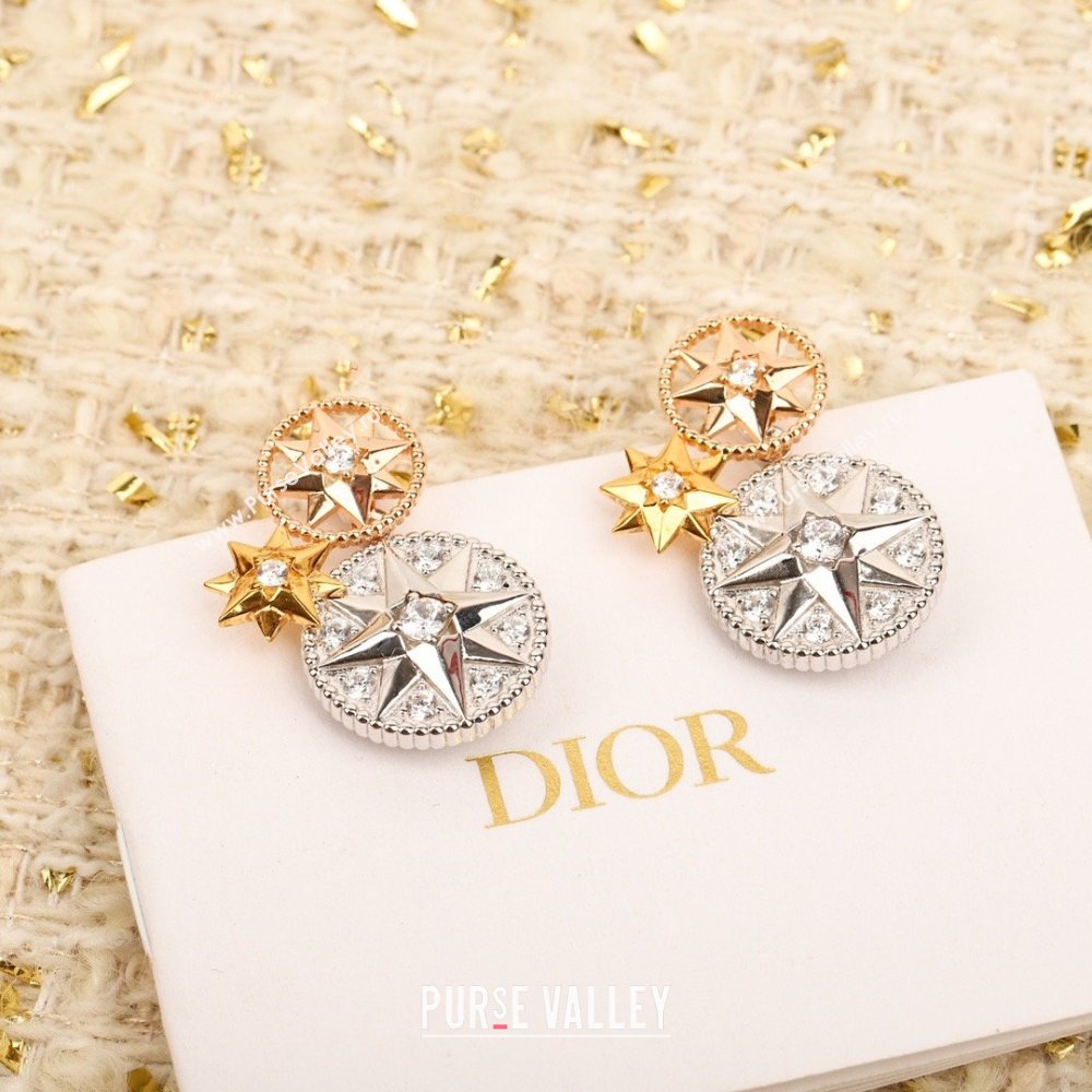 Dior Rose des Vents Earring D012825 2026 (YF-26012825)