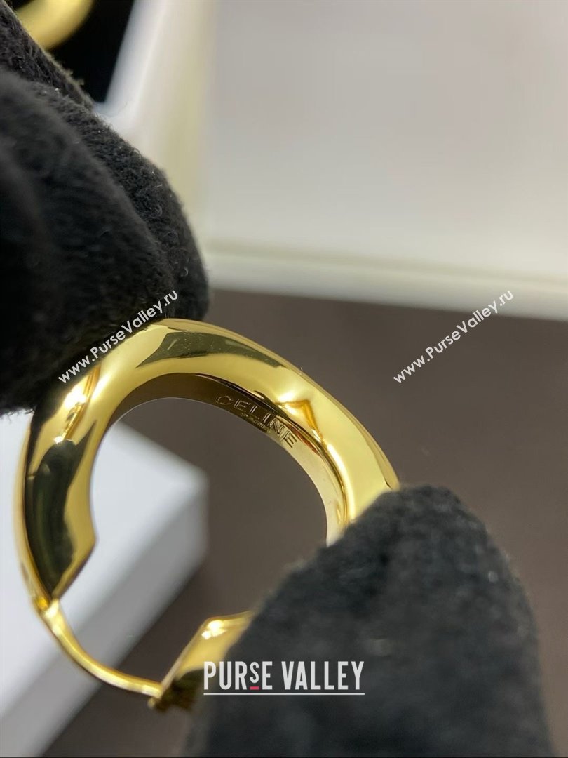 Celine Earrings C012831 Gold 2026 (YF-26012831)