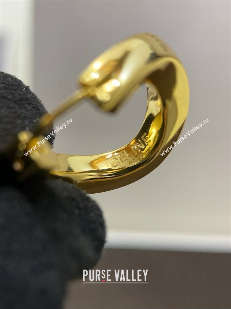 Celine Earrings C012831 Gold 2026 (YF-26012831)