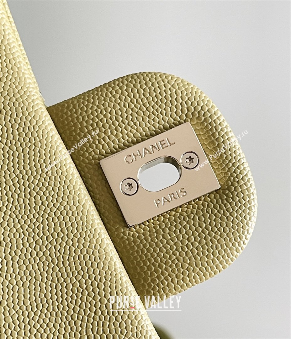 Chanel Grained Calfskin Medium Classic Flap Bag A01112 Avocado green/Light Gold 2026 Original Quality (MHE-26013102)