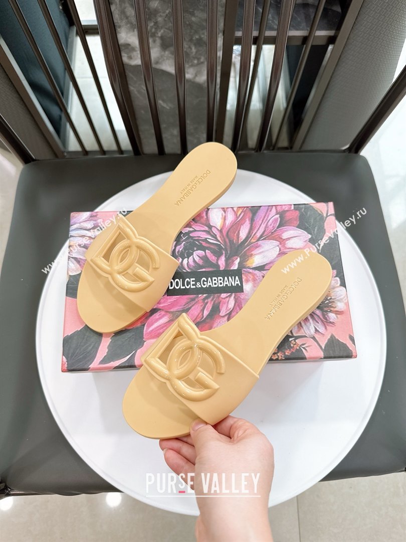 Dolce Gabbana DG TPU Flat Slide Sandals Beige 2026 (ME-26020309)