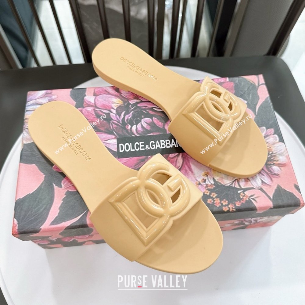 Dolce Gabbana DG TPU Flat Slide Sandals Beige 2026 (ME-26020309)