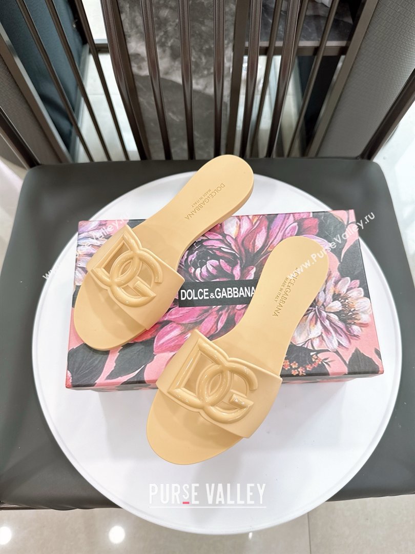 Dolce Gabbana DG TPU Flat Slide Sandals Beige 2026 (ME-26020309)