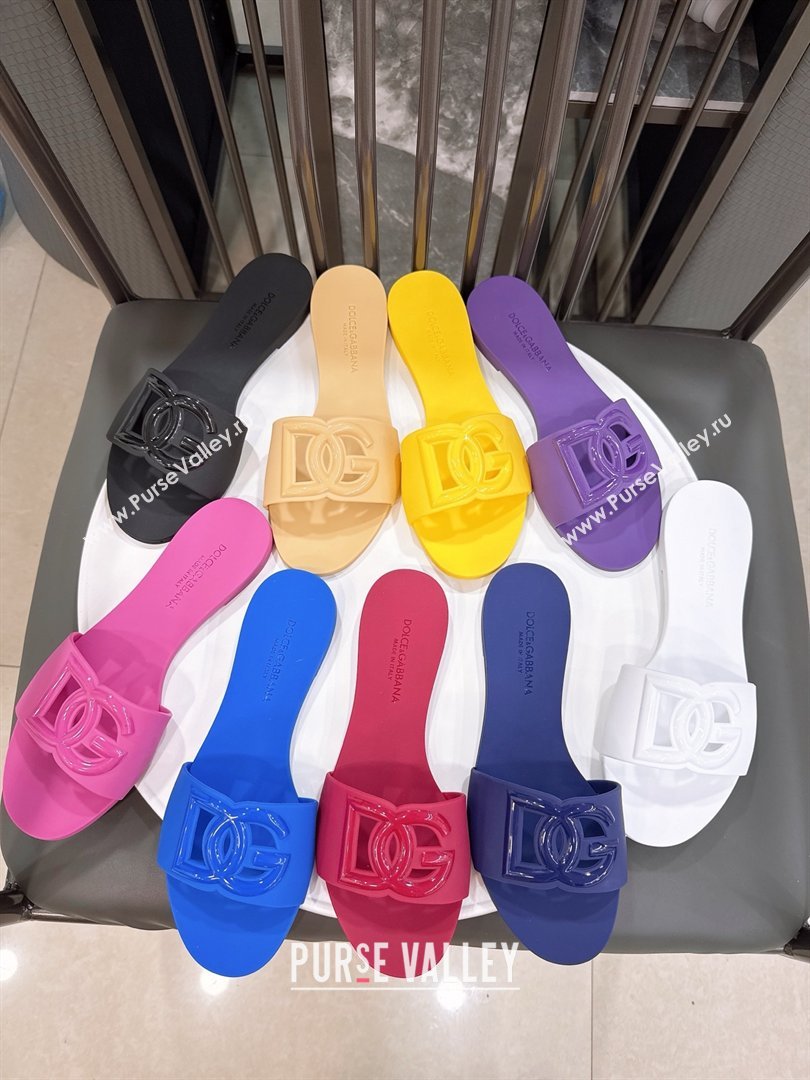 Dolce Gabbana DG TPU Flat Slide Sandals Beige 2026 (ME-26020309)