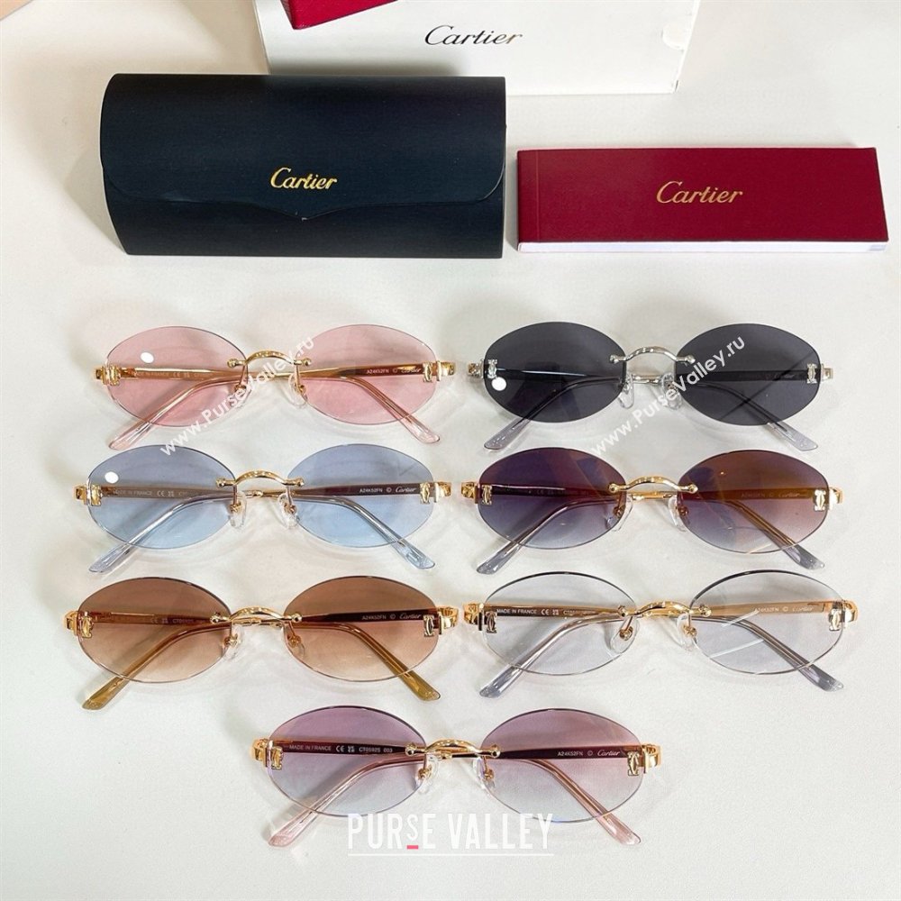 Cartier Sunglasses CT0592S 2026 (A-26030409)