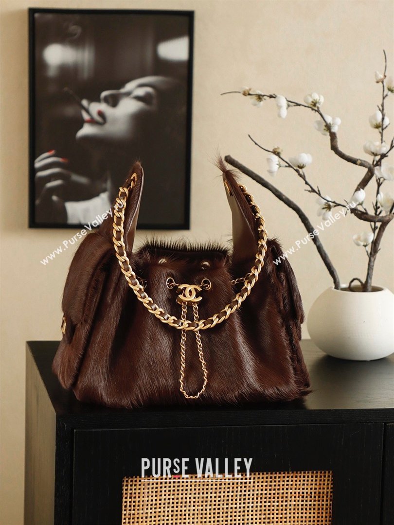 Chanel 25 Small Hobo Handbag in Horsehair AS5293 Chocolate Brown 2026 (JY-26031803)