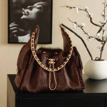 Chanel 25 Small Hobo Handbag in Horsehair AS5293 Chocolate Brown 2026 (JY-26031803)