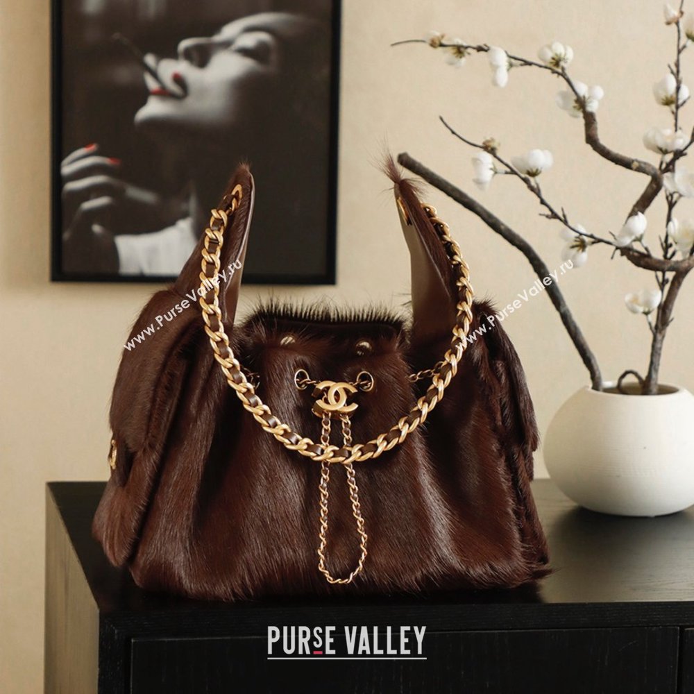 Chanel 25 Small Hobo Handbag in Horsehair AS5293 Chocolate Brown 2026 (JY-26031803)