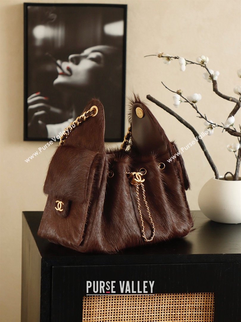 Chanel 25 Small Hobo Handbag in Horsehair AS5293 Chocolate Brown 2026 (JY-26031803)