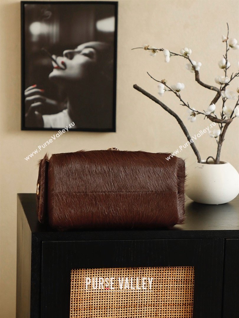 Chanel 25 Small Hobo Handbag in Horsehair AS5293 Chocolate Brown 2026 (JY-26031803)