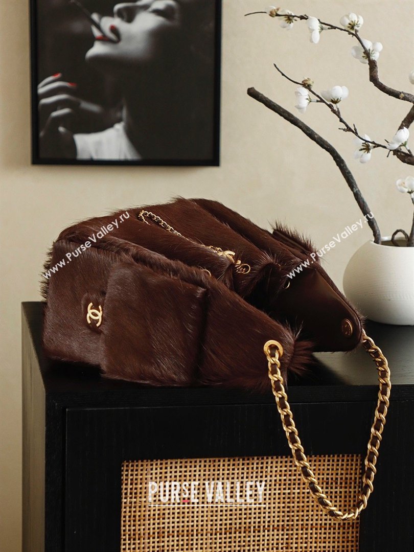 Chanel 25 Small Hobo Handbag in Horsehair AS5293 Chocolate Brown 2026 (JY-26031803)