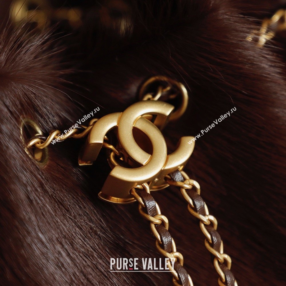 Chanel 25 Small Hobo Handbag in Horsehair AS5293 Chocolate Brown 2026 (JY-26031803)