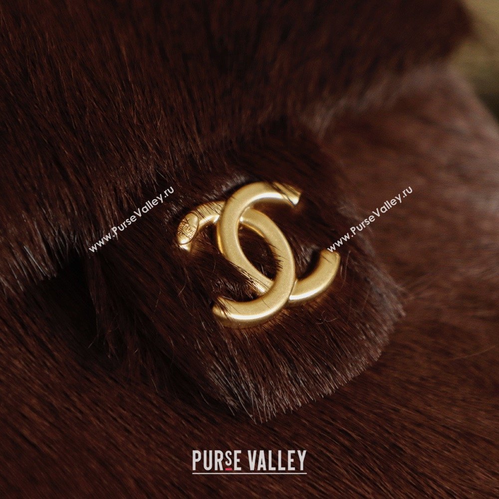 Chanel 25 Small Hobo Handbag in Horsehair AS5293 Chocolate Brown 2026 (JY-26031803)