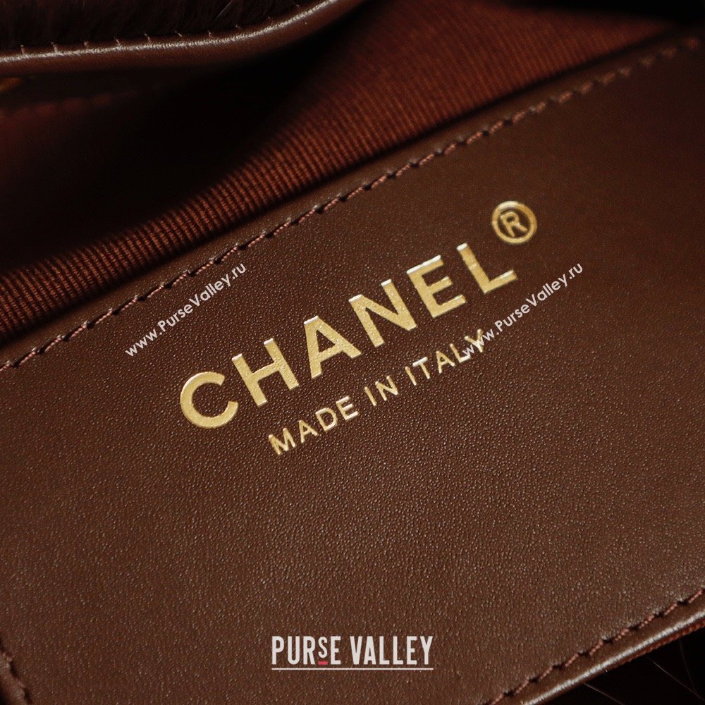 Chanel 25 Small Hobo Handbag in Horsehair AS5293 Chocolate Brown 2026 (JY-26031803)