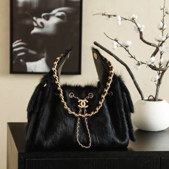 Chanel 25 Small Hobo Handbag in Horsehair AS5293 Black 2026 (JY-26031804)