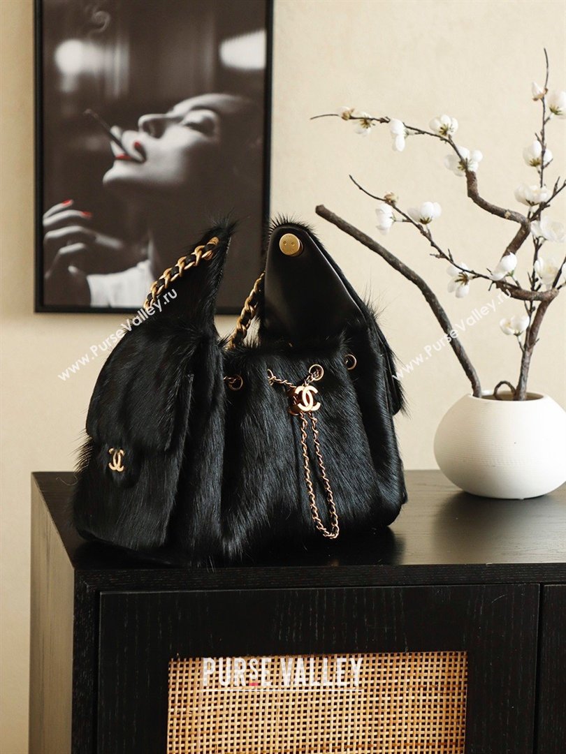 Chanel 25 Small Hobo Handbag in Horsehair AS5293 Black 2026 (JY-26031804)