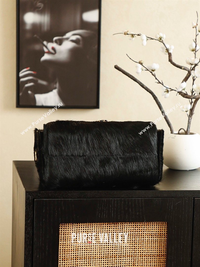 Chanel 25 Small Hobo Handbag in Horsehair AS5293 Black 2026 (JY-26031804)