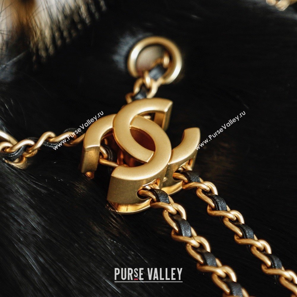 Chanel 25 Small Hobo Handbag in Horsehair AS5293 Black 2026 (JY-26031804)