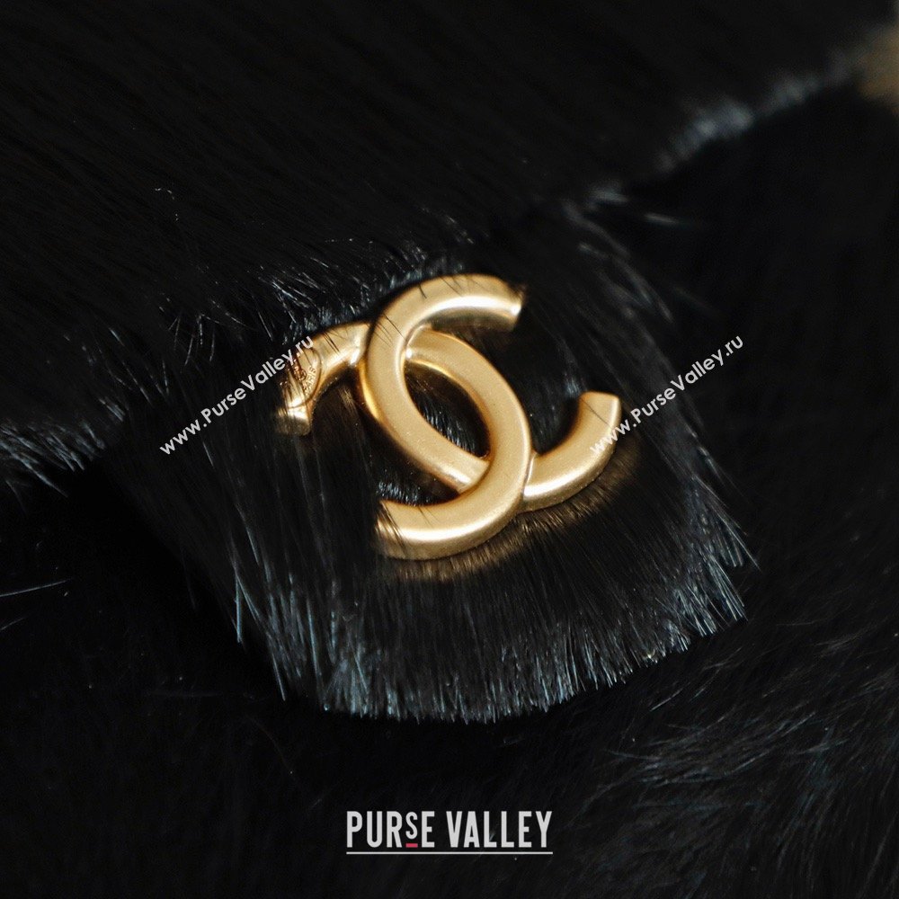 Chanel 25 Small Hobo Handbag in Horsehair AS5293 Black 2026 (JY-26031804)