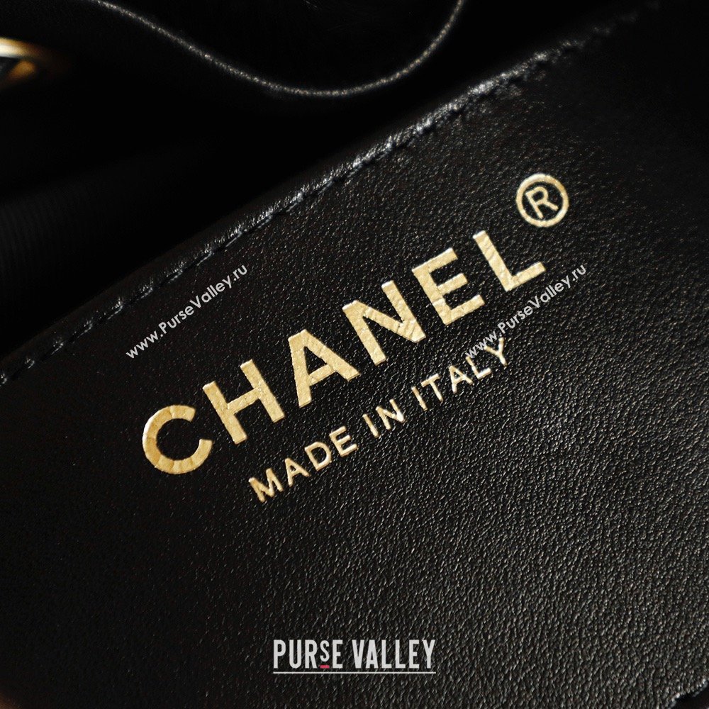 Chanel 25 Small Hobo Handbag in Horsehair AS5293 Black 2026 (JY-26031804)