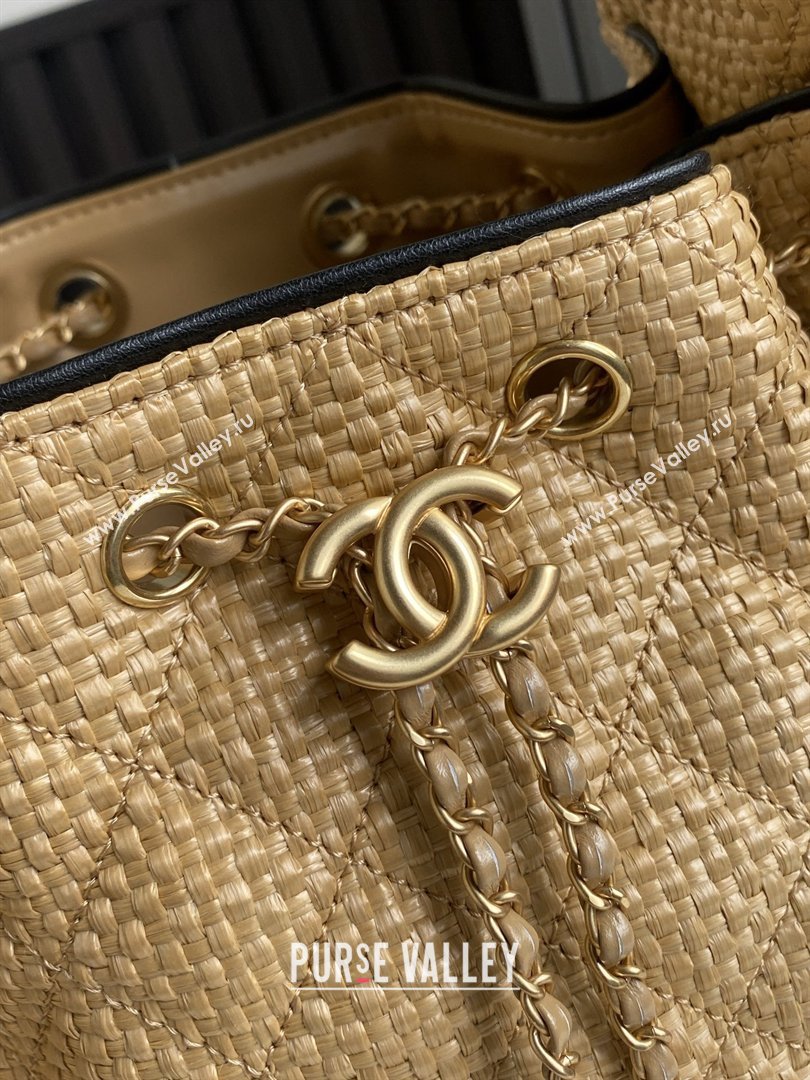 Chanel 25 Small Hobo Handbag in Beige Braided Raffia AS5293 2026 (GANEN-26031902)