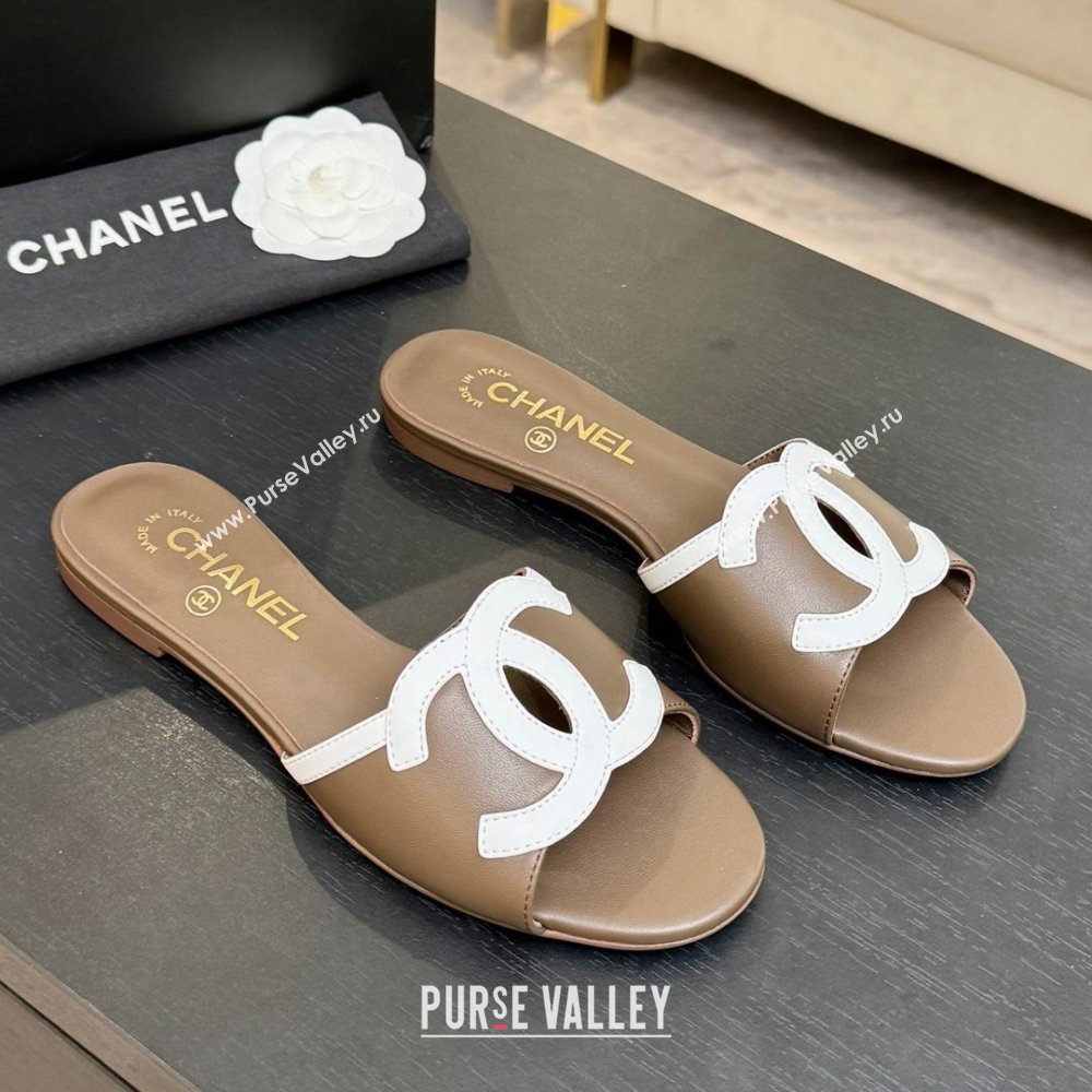 Chanel Lambskin Flat Mules Sandals G47252 Khaki 2026 (MD-26032515)