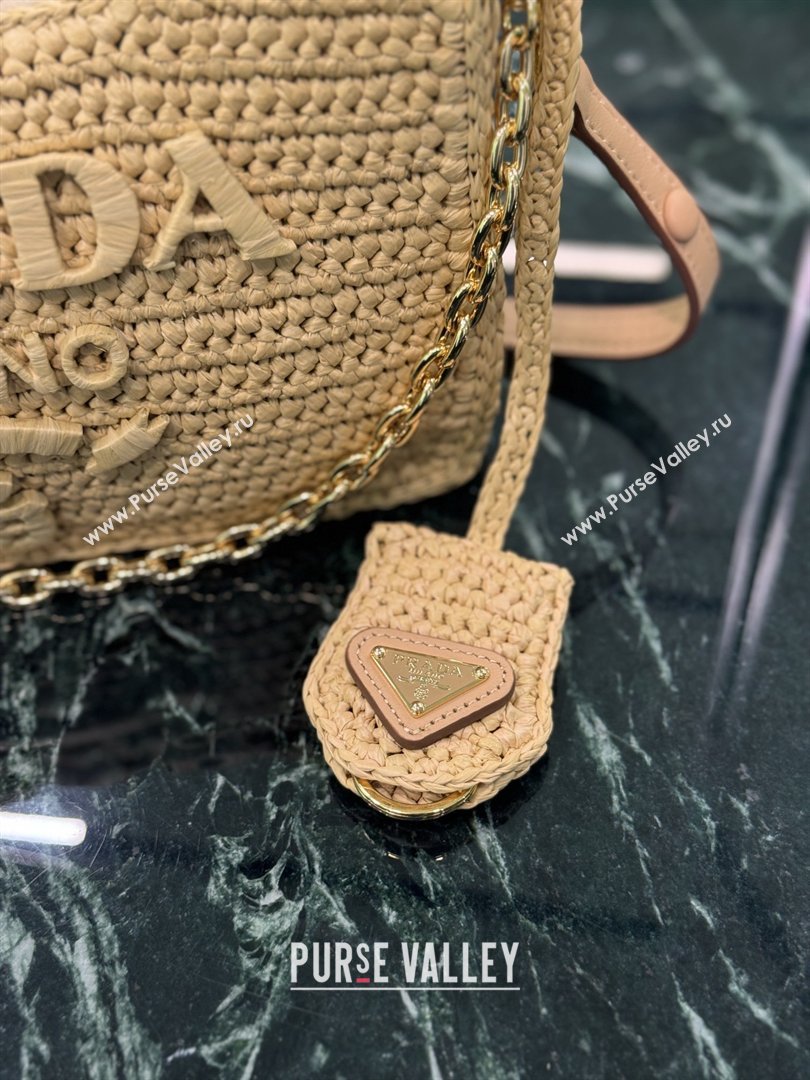 Prada Re-edition Crochet Raffia-effect Mini Bag with Gold Chain 1BC204 2026 (YZ-26032701)