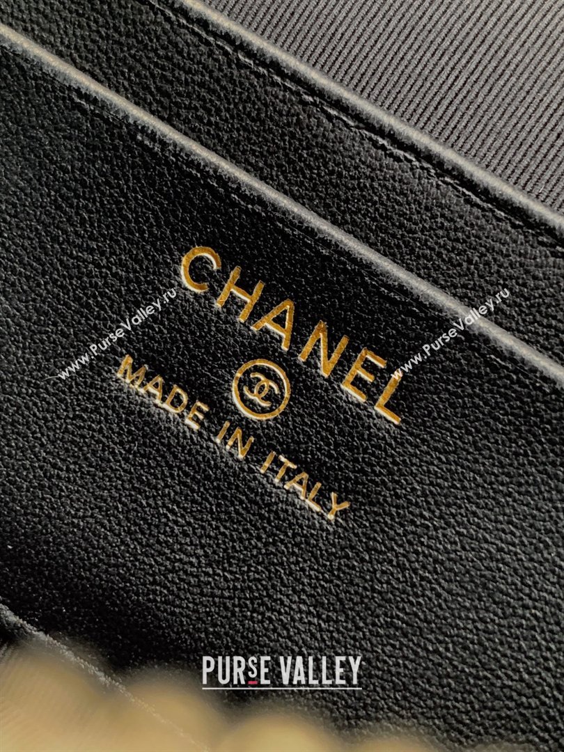 Chanel Vanity with Chain in Suede Calfskin Shiny Lambskin AP5186 Light Grey 2026 (JY-26040806)